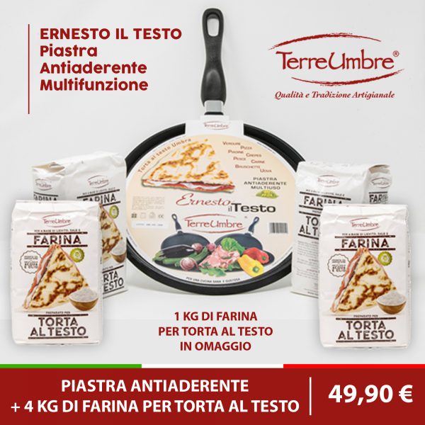 ernesto il testo